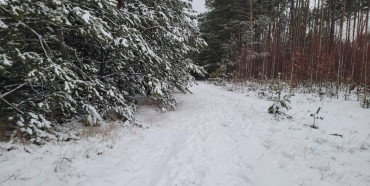 У поліції розповіли подробиці вбивства 27-річної жінки в лісі на Рівненщині